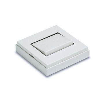 Interruptor superficie 10A 250V blanco nieve