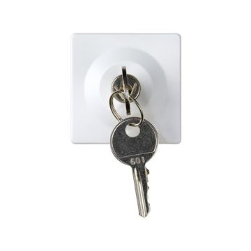 Conmutador con llave 2,5a 2 posiciones