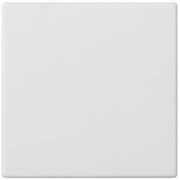 Placa ciega individual blanco