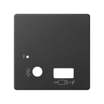 Placa módulo bluetooth simon 82 con cargador usb grafito