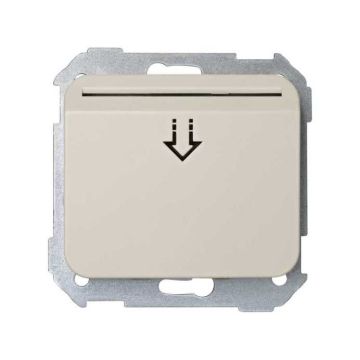 Interruptor tarjeta simon 75 con placa marfil