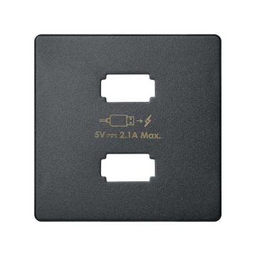 Placa cargador simon 82 2xusb 5v dc 2,1 tipo a grafito