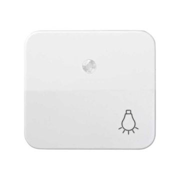 Tecla pulsador luz simon 73 con luminoso blanco nieve