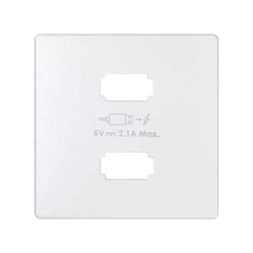 Placa cargador simon 82 2xusb 5v dc 2,1 tipo a blanco