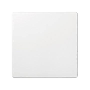 Tapa ciega