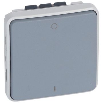 Interruptor bipolar plexo - ip 55-ik 07 - 16 a-250 v~ - gris