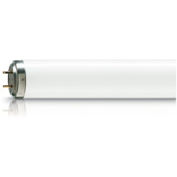 Atrapainsectos -  UV lamp -  Consumo de energía: 36 W
