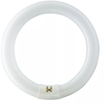 MASTER TL-D Super 80 Circular -  Fluorescent lamp -  Consumo de energía: 22.2 W -  Clase de eficiencia energética: G