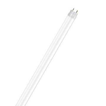 L.T8 Substitube Valueem St8v 8w/865 0,6m