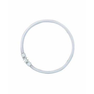 Lampara Lumilux Fc T5 2gx13 40w/865