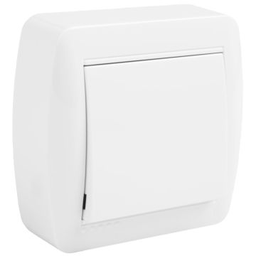 Conmutador / interruptor 10AX 250V~. De superficie.