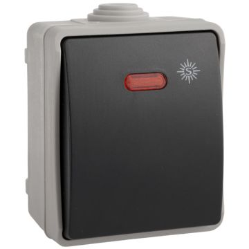Pulsador estanco luminoso 10A 250V~. IP54. De superficie.