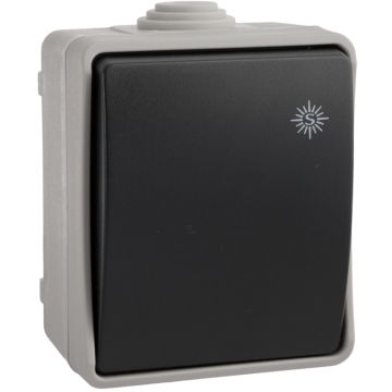Conmutador / interruptor estanco 10AX 250V~. IP54. De superficie.