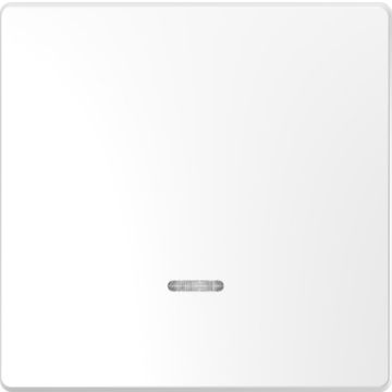 Tecla Simple Con Visor D-life Artico