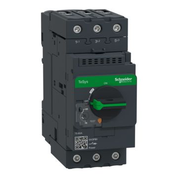 Interruptor Automático De Motor, Tesys Gv3, 3p, 70-80 A, Magnetotérmico, Terminales Everlink