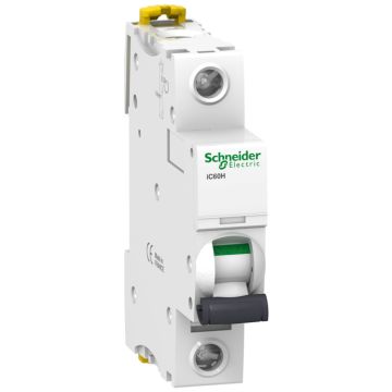 Interruptor Automático Magnetotérmico Ic60h 1p 25a Curva-b