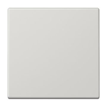 Tecla simple LS gris claro