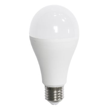LÁMPARA ESTÁNDAR A65 200° 17W E27 50K