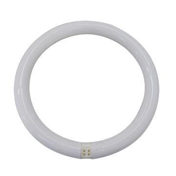 LÁMPARA TUBO T9 LED BG 20W 65K