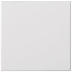 Placa ciega individual blanco