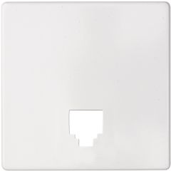 Placa para tomas telefónicas rj11 y rj12